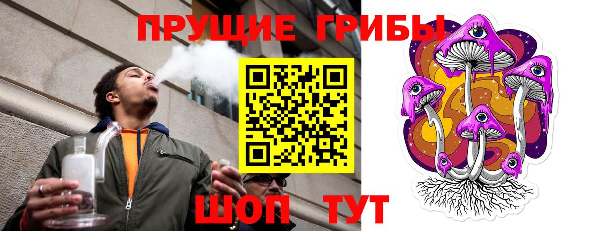 Псилоцибиновые грибы MAGIC MUSHROOMS  Псилоцибиновые грибы MAGIC MUSHROOMS  Вход с VPN  Железноводск 